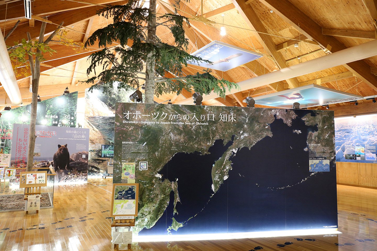 🏛️ 시레토코 세계유산 센터(시레토코 세카이이산 센타-) 이미지 1